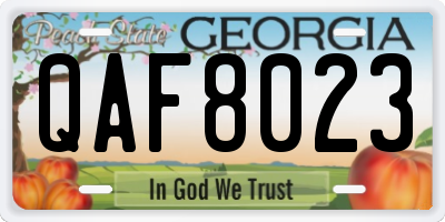 GA license plate QAF8023