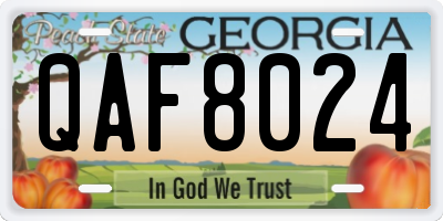 GA license plate QAF8024