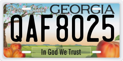 GA license plate QAF8025