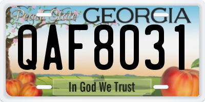 GA license plate QAF8031