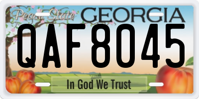 GA license plate QAF8045