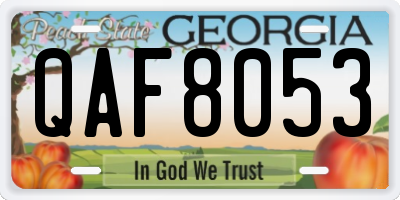 GA license plate QAF8053