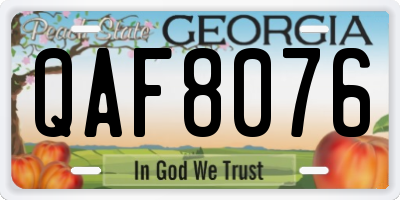 GA license plate QAF8076