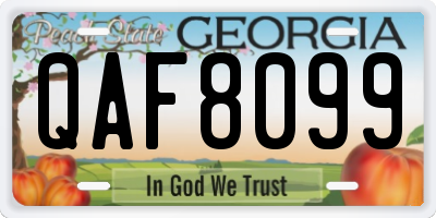 GA license plate QAF8099