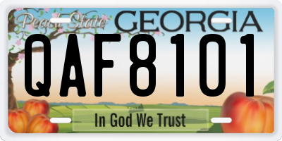 GA license plate QAF8101