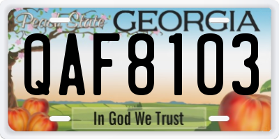 GA license plate QAF8103