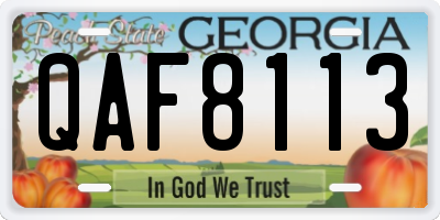 GA license plate QAF8113