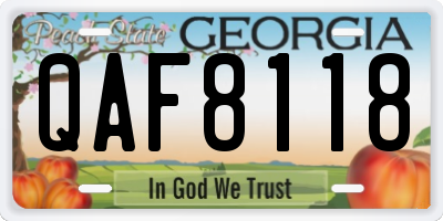GA license plate QAF8118