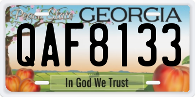 GA license plate QAF8133
