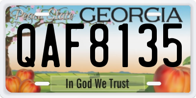 GA license plate QAF8135