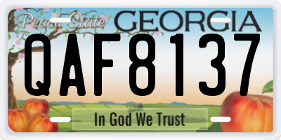 GA license plate QAF8137