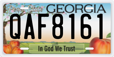 GA license plate QAF8161