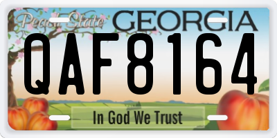 GA license plate QAF8164