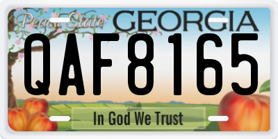 GA license plate QAF8165