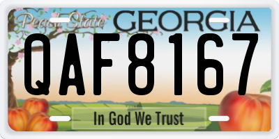 GA license plate QAF8167