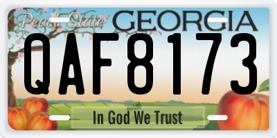 GA license plate QAF8173