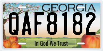 GA license plate QAF8182