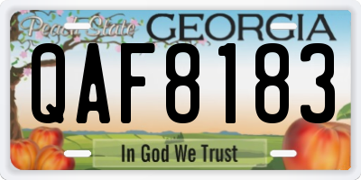 GA license plate QAF8183