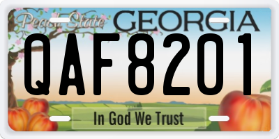 GA license plate QAF8201