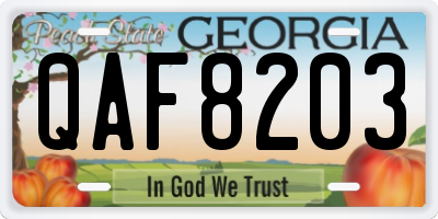 GA license plate QAF8203