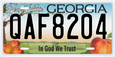 GA license plate QAF8204