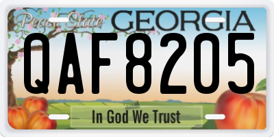 GA license plate QAF8205