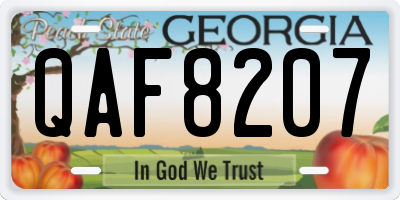 GA license plate QAF8207