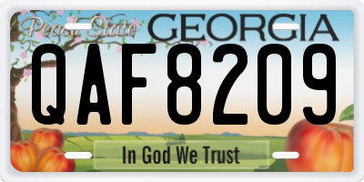 GA license plate QAF8209