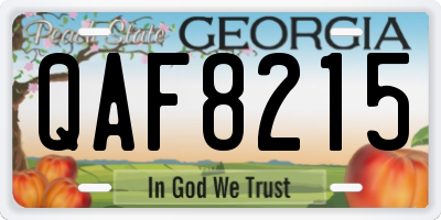 GA license plate QAF8215