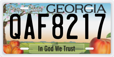 GA license plate QAF8217