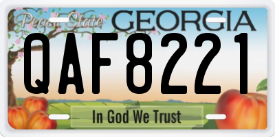GA license plate QAF8221