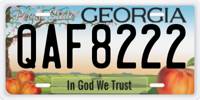 GA license plate QAF8222