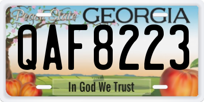 GA license plate QAF8223