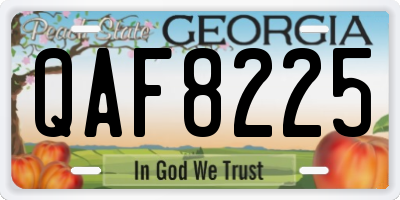 GA license plate QAF8225
