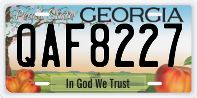 GA license plate QAF8227