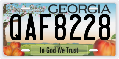 GA license plate QAF8228