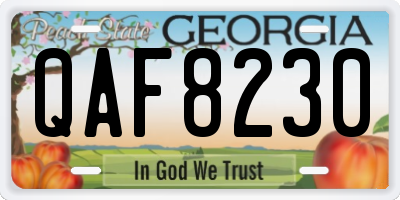 GA license plate QAF8230