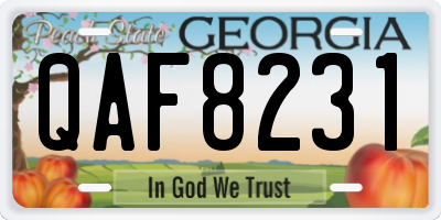 GA license plate QAF8231
