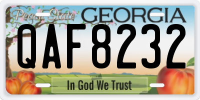 GA license plate QAF8232