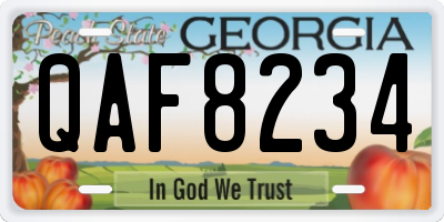 GA license plate QAF8234