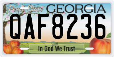 GA license plate QAF8236