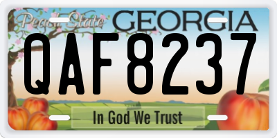 GA license plate QAF8237