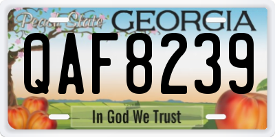 GA license plate QAF8239