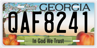 GA license plate QAF8241