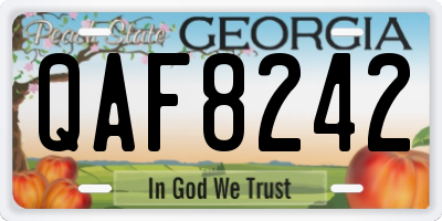 GA license plate QAF8242