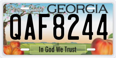 GA license plate QAF8244