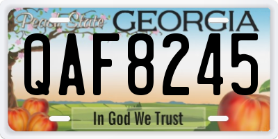 GA license plate QAF8245