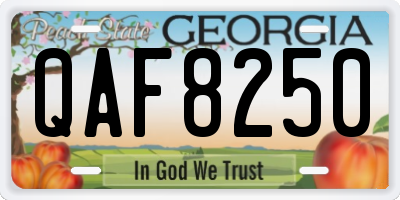 GA license plate QAF8250