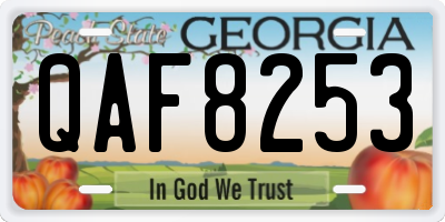 GA license plate QAF8253