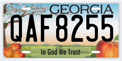 GA license plate QAF8255